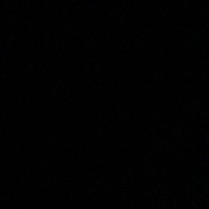 Meet your Posher, Ginger